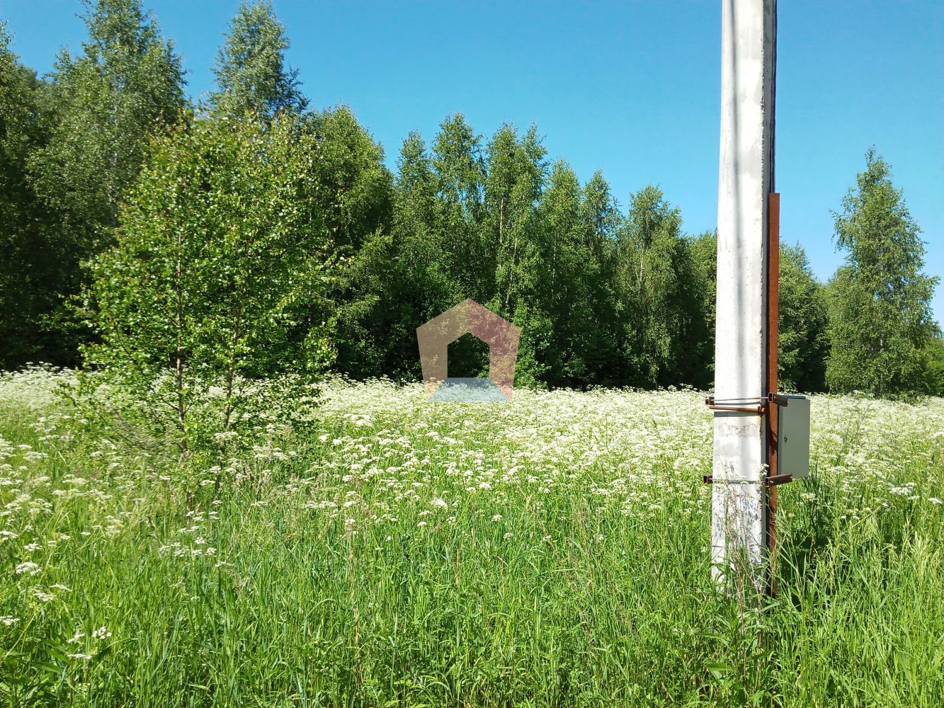 Купить Участок Богородское Сергиево Посадский Район